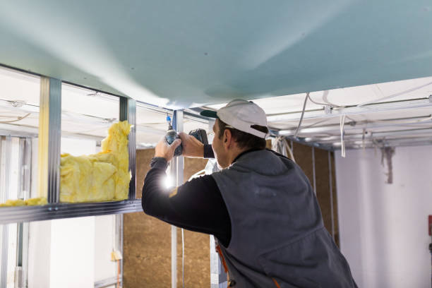 Best Wall Insulation Installation  in Lake Orion, MI